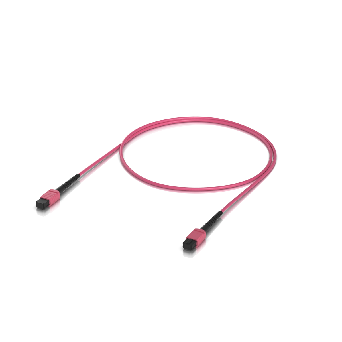Cable de fibra óptica rosa OM4 MPO-12 con conectores negros y enganches rosados sobre fondo blanco